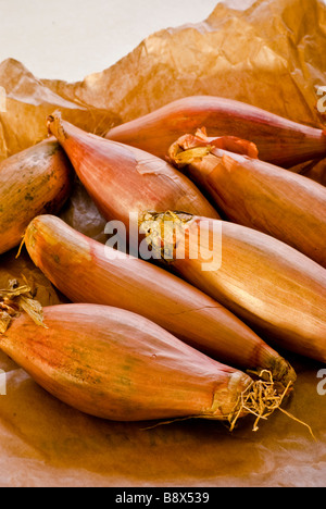 Echalion shallots (also known as banana shallots) lying on a crumpled brown paper bag, with space for copy Stock Photo