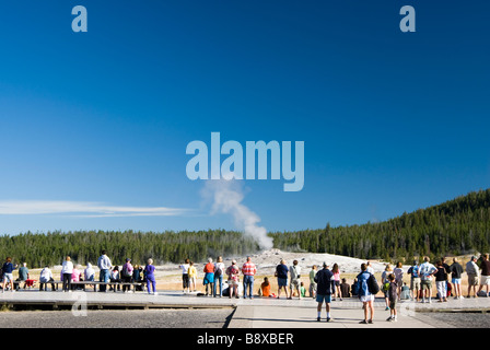 tourists watching as Old Faithful geyser erupts in Yellowstone National Park Stock Photo