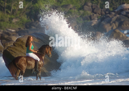 woman on Arabian horse on the beach Stock Photo