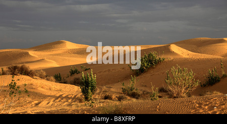 India Rajasthan Thar Desert Sam Sand Dunes