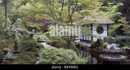 The Tea House amongst Acers and mossy banks in the Japanese Garden at Tatton Park Stock Photo