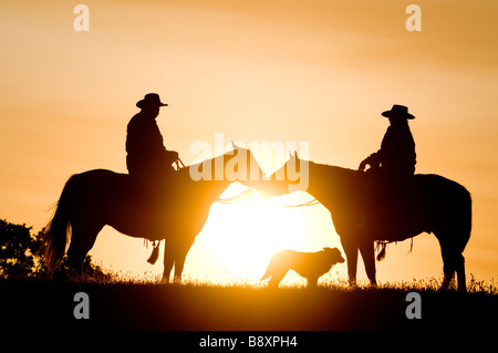 Cowboys on horses sunset silhouettes Stock Photo