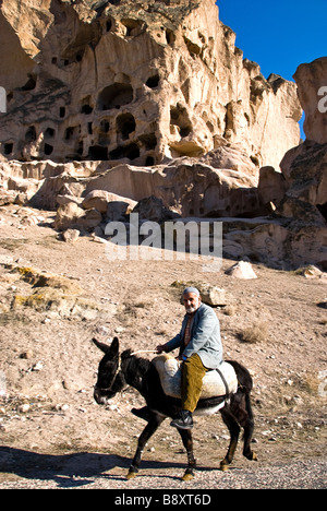Asia Turkey Man riding on Donkey with Camels Stock Photo - Alamy
