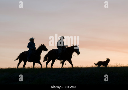 Cowboys on horses with dog at sunset silhouettes Stock Photo