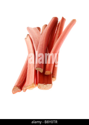 Fresh Ripe Garden Organic Uncooked Raw Rhubarb Isolated Against A White Background With No People and A Clipping Path Stock Photo