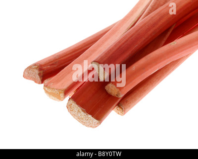 Fresh Ripe Garden Organic Uncooked Raw Rhubarb Isolated Against A White Background With No People and A Clipping Path Stock Photo