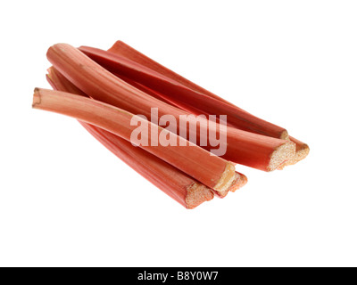 Fresh Ripe Garden Organic Uncooked Raw Rhubarb Isolated Against A White Background With No People and A Clipping Path Stock Photo