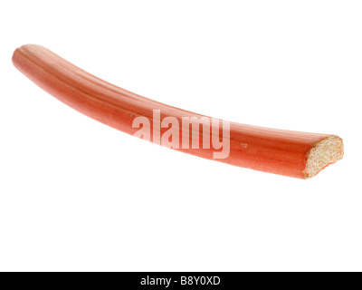 Fresh Ripe Garden Organic Uncooked Raw Rhubarb Isolated Against A White Background With No People and A Clipping Path Stock Photo