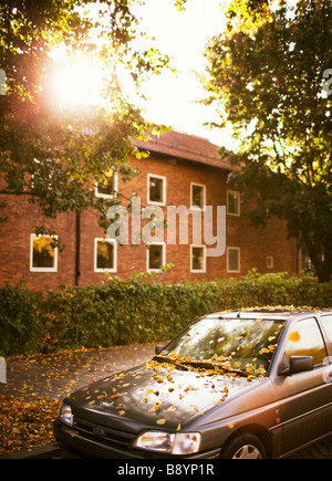 Autumn leaves on a car Sweden. Stock Photo