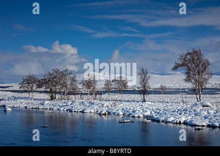 Tree lined snow covered landscape, Rannoch Moor, looking east, Scottish Highlands, Scotland, UK, Europe