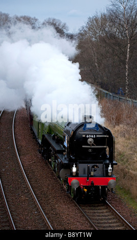 Tornado Steam engine is a new Peppercorn class A1 Pacific locomotive pictured on its first journey to Scotland in February 2009 Stock Photo