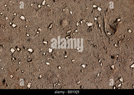 Grey asphalt close up as a background Stock Photo