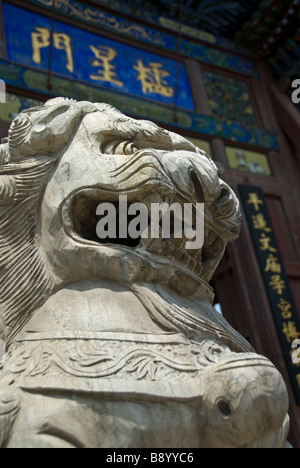 Chinsese traditional dragon guarding the door of a temple in Pingyao, Shaanxi Province, China. Stock Photo