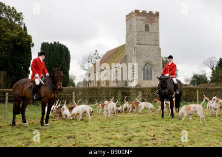 Huntsman Whipper in and foxhounds of the Essex and Suffolk Hunt England Stock Photo