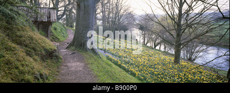 Wide view of sloping bank down to the River Wye  in the Weir Garden, Herefordshire Stock Photo