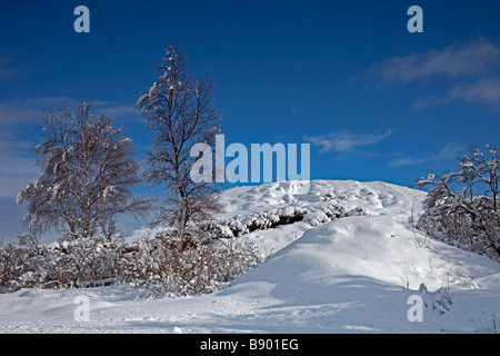 Tree lined snow covered landscape, Rannoch Moor, looking east, Scottish Highlands, Scotland, UK, Europe