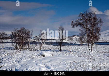 Tree lined snow covered landscape, Rannoch Moor, looking east, Scottish Highlands, Scotland, UK, Europe