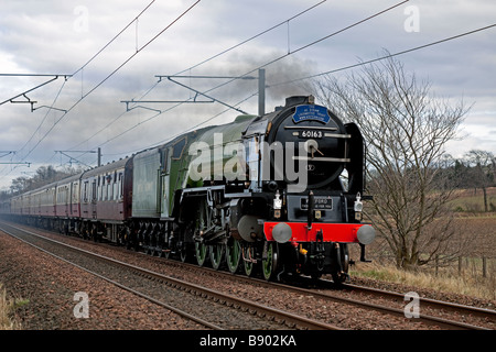 Tornado Steam engine is a new Peppercorn class A1 Pacific locomotive pictured on its first journey to Scotland in February 2009 Stock Photo