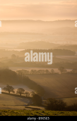 Sheep grazing on Raddon Hill overlooking frosty and misty countryside Mid Devon England Stock Photo