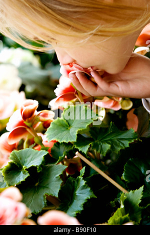 A little girl with a flower Sweden. Stock Photo