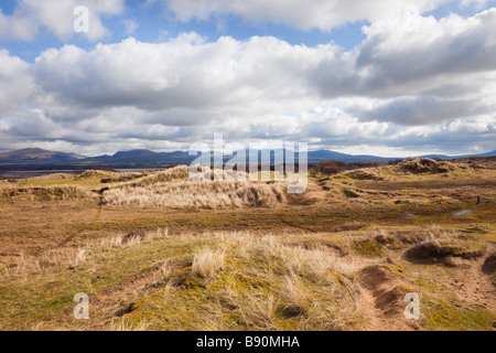 Newborough Warren Isle of Anglesey North Wales UK. Marram grass sand dunes in National Nature Reserve Stock Photo