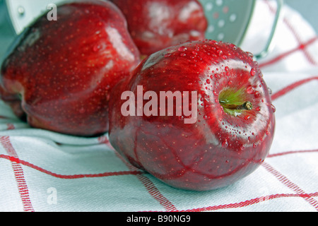 Freshly washed red delicious apples with water drops drying on a matching hand towel. Stock Photo