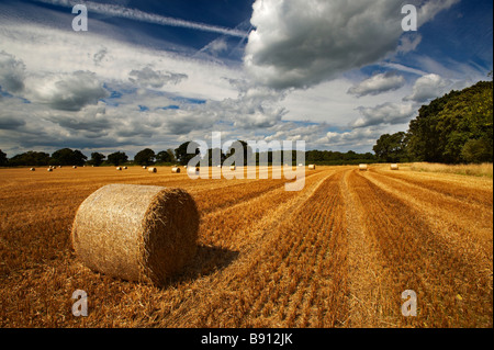 Harvest At Mobberley Cheshire UK Stock Photo