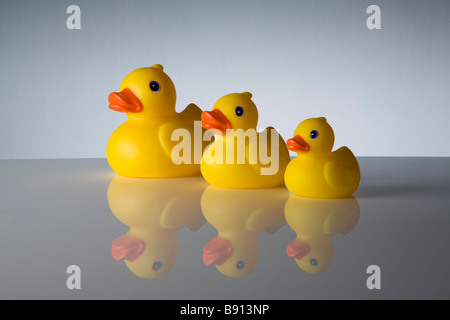 rubber duck Stock Photo