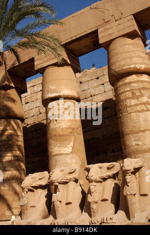 Avenue of [ram headed] sphinxes beneath stone carved colonnade of large papyrus columns, Karnak Temple, Luxor, Egypt Stock Photo