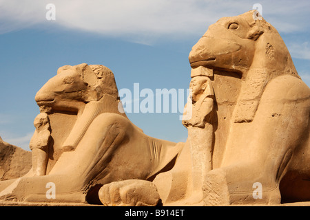 Avenue of [ram headed] sphinxes, each holding a small statue of Pharaoh Ramses II, entrance to Karnak Temple, Luxor, Egypt Stock Photo