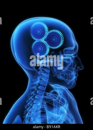 brain with gears Stock Photo