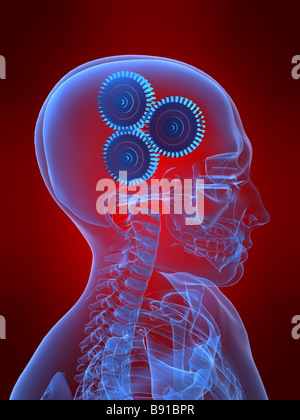 gears in human brain Stock Photo