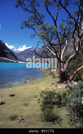 The beautiful mountain scenery and the lakes of the Parque Nacional de ...