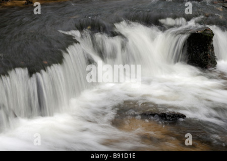 Czartowe Pole Reserve, Roztocze Region, Poland Stock Photo