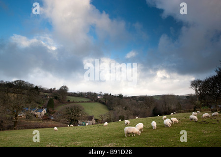 Farmland near Widecombe in The Moor. Dartmoor National Park. Devon. Southwest England, UK. Europe Stock Photo
