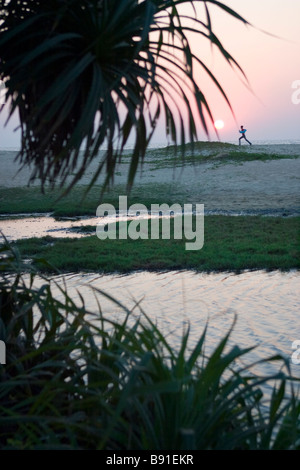 Sillhouette of running man on the sea beach through palm tree leafes. Stock Photo