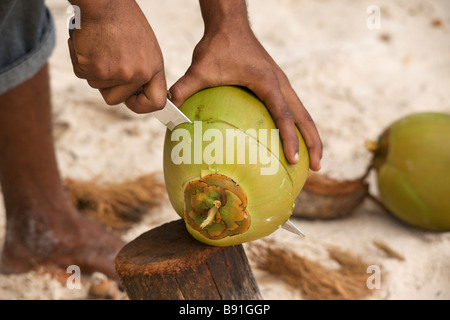 Young Bajan man opening fresh coconut at 'Crane Beach', Barbados, 'West Indies' Stock Photo