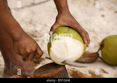 Young Bajan man opening fresh coconut at 'Crane Beach', Barbados, 'West Indies' Stock Photo