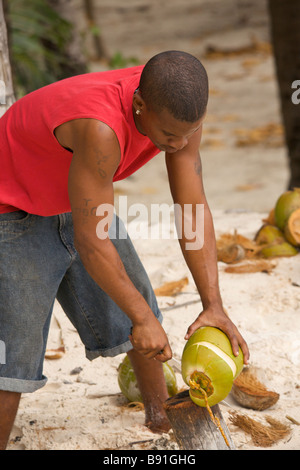 Young Bajan man opening fresh coconut at 'Crane Beach', Barbados, 'West Indies' Stock Photo