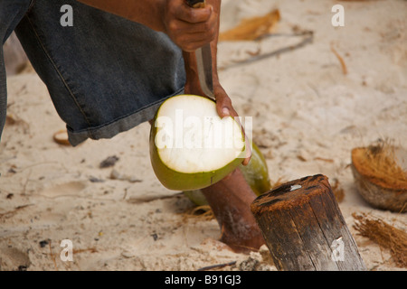 Young Bajan man opening fresh coconut at 'Crane Beach', Barbados, 'West Indies' Stock Photo