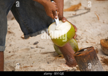 Young Bajan man opening fresh coconut at 'Crane Beach', Barbados, 'West Indies' Stock Photo