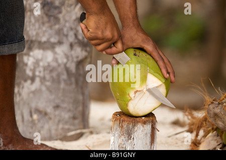 Young Bajan man opening fresh coconut at 'Crane Beach', Barbados, 'West Indies' Stock Photo