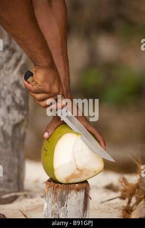 Young Bajan man opening fresh coconut at 'Crane Beach', Barbados, 'West Indies' Stock Photo