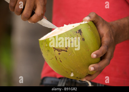 Young Bajan man opening fresh coconut at 'Crane Beach', Barbados, 'West Indies' Stock Photo