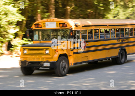 School Bus on Country Road - British Columbia, Canada Stock Photo