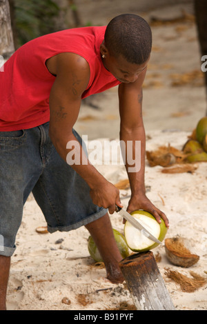 Young Bajan man opening fresh coconut at 'Crane Beach', Barbados, 'West Indies' Stock Photo