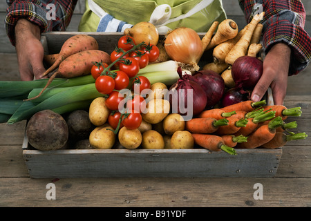 A man holding a box containing fresh vegetables Sweden. Stock Photo