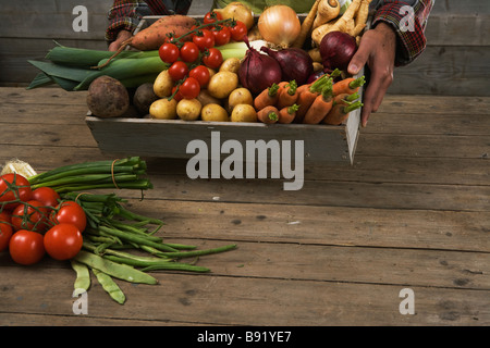 A man holding a box containing fresh vegetables Sweden. Stock Photo