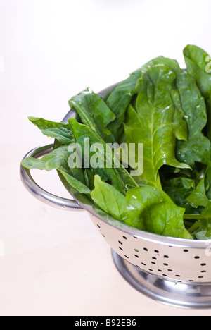 Close of fresh green raw spinach leaves in a strainer Stock Photo