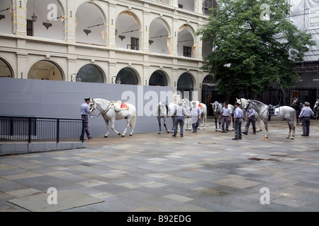 Horses being prepared for performance at the Spanish Riding School Spanische Reitschule Vienna Austria Stock Photo